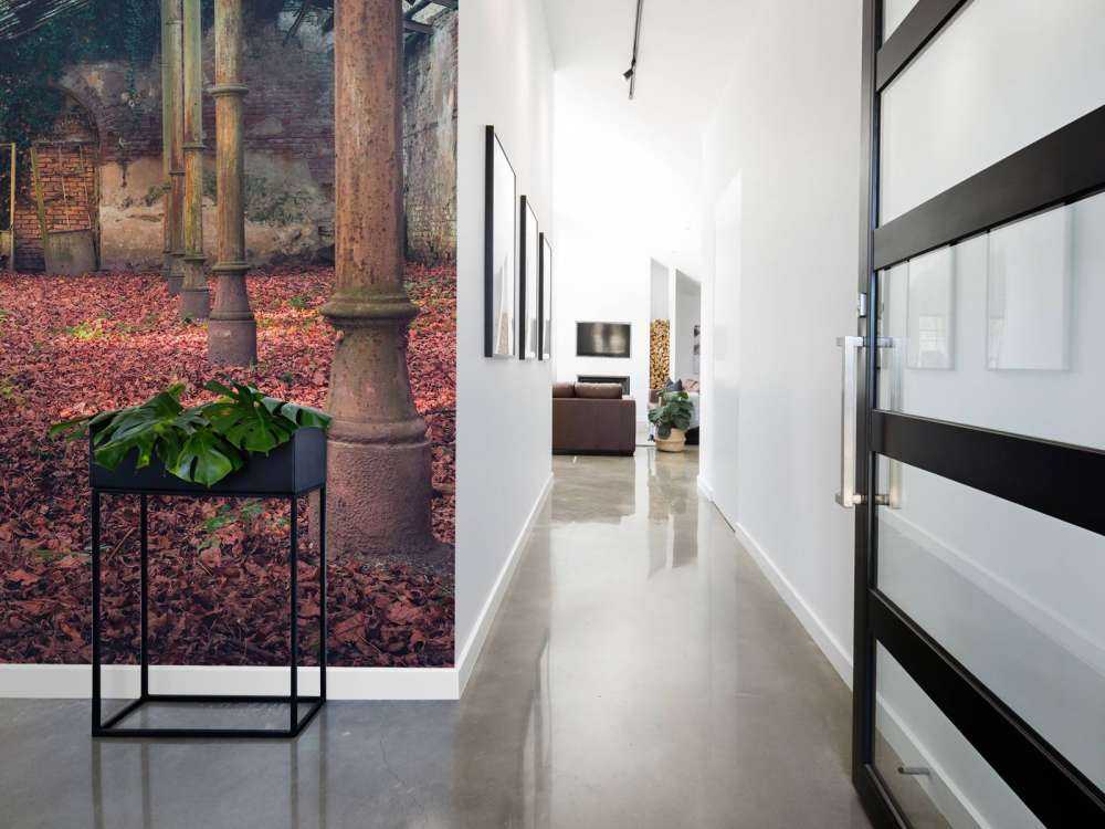 Maison abandonnée avec des feuilles