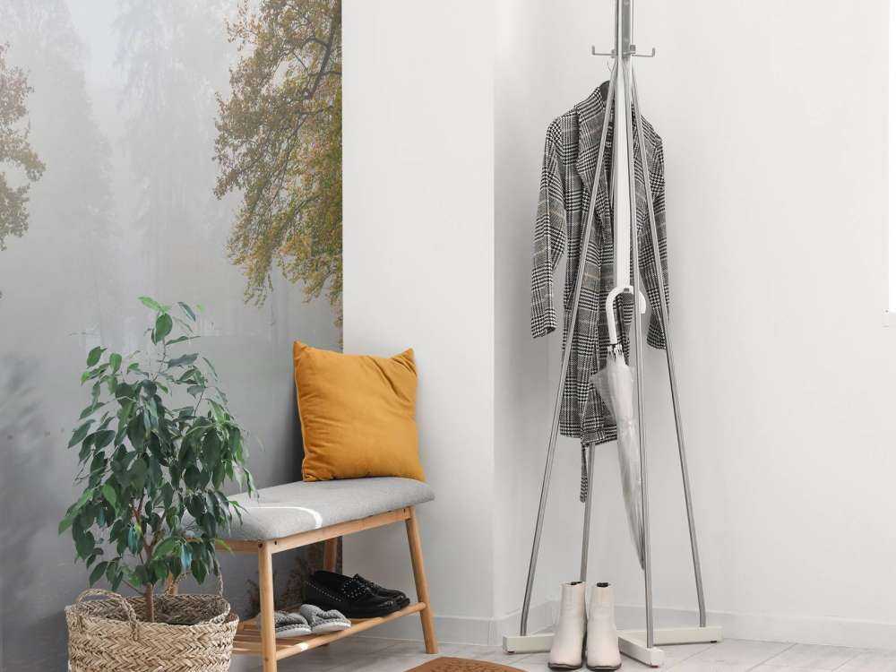 Étang de forêt dans la brume