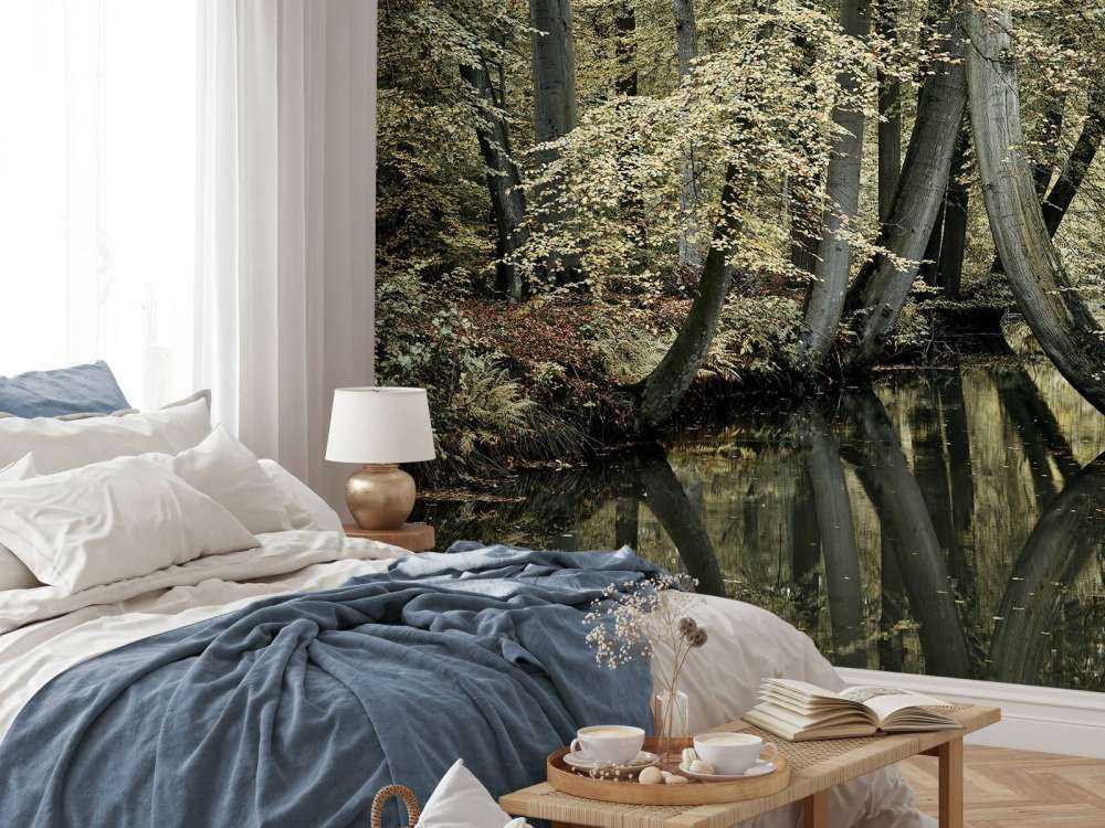 Ruisseau avec des arbres suspendus