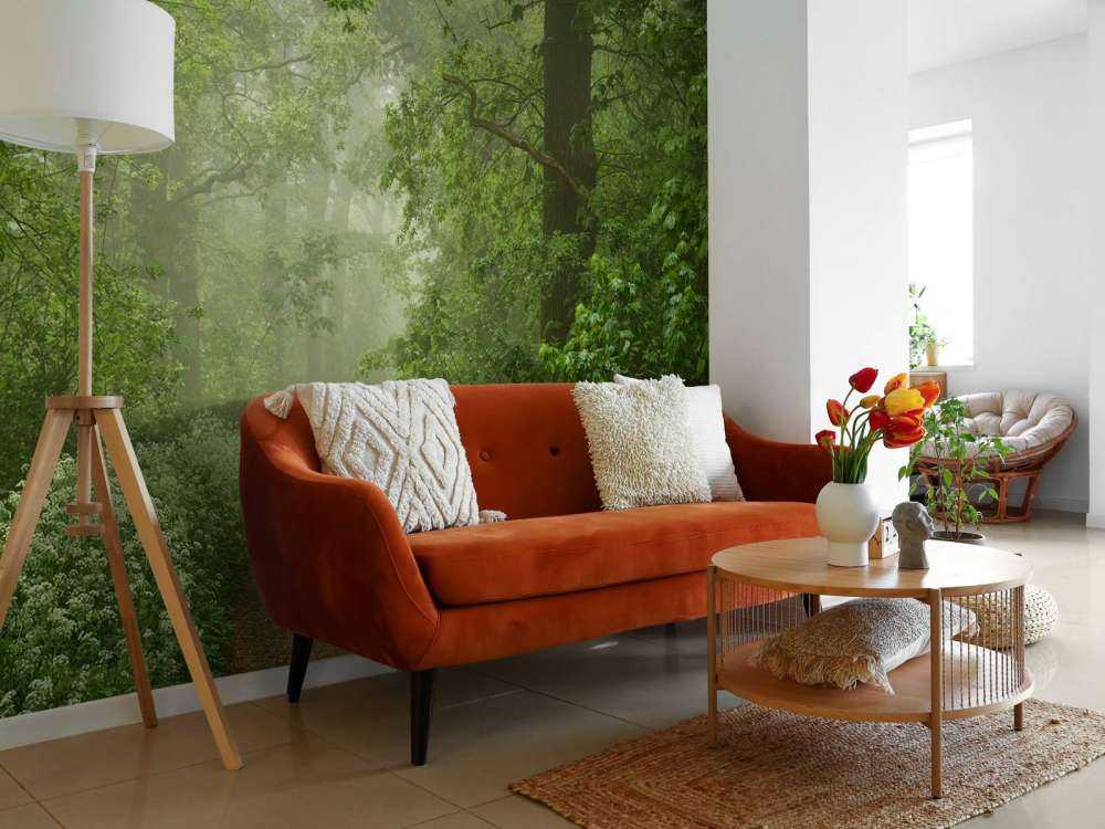 Forêt brumeuse avec chemin