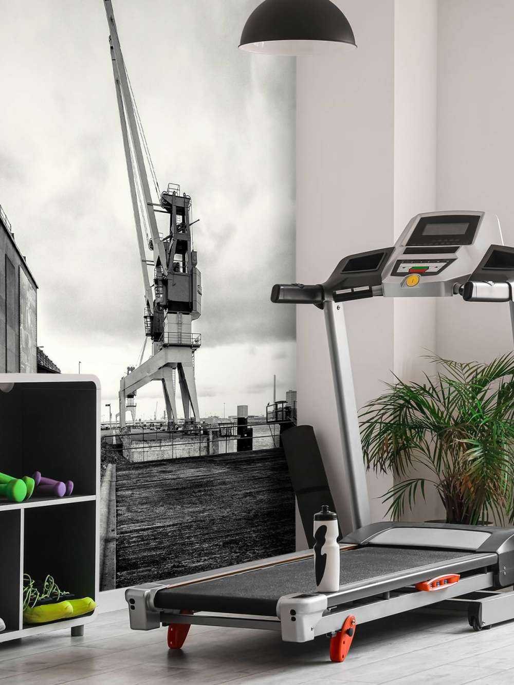 Grue portuaire sur l'ancien site RDM Heijplaat Rotterdam 