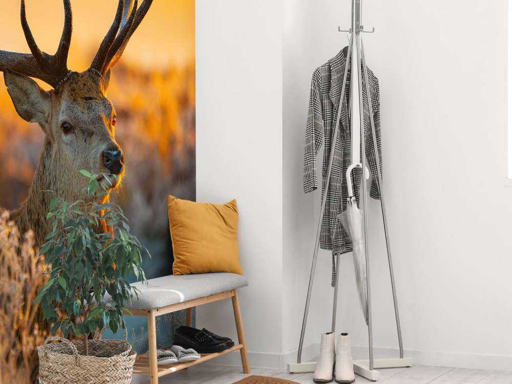 Cerf dans une réserve naturelle