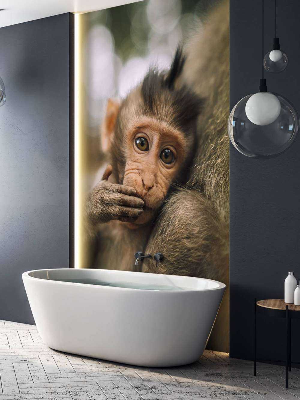 Gros plan d'un petit singe