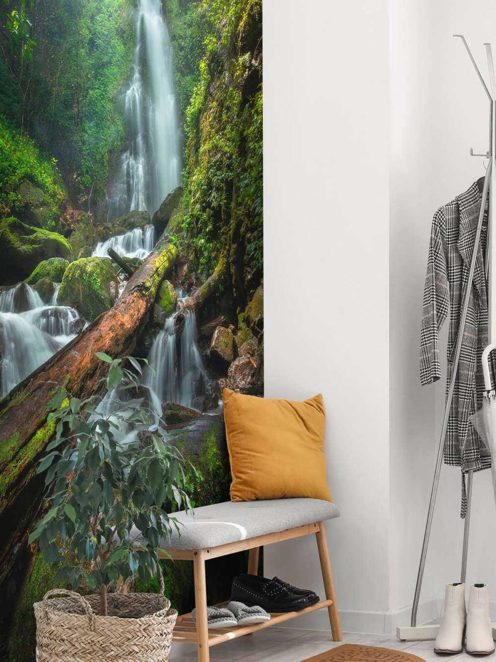 Gros plan sur une chute d'eau