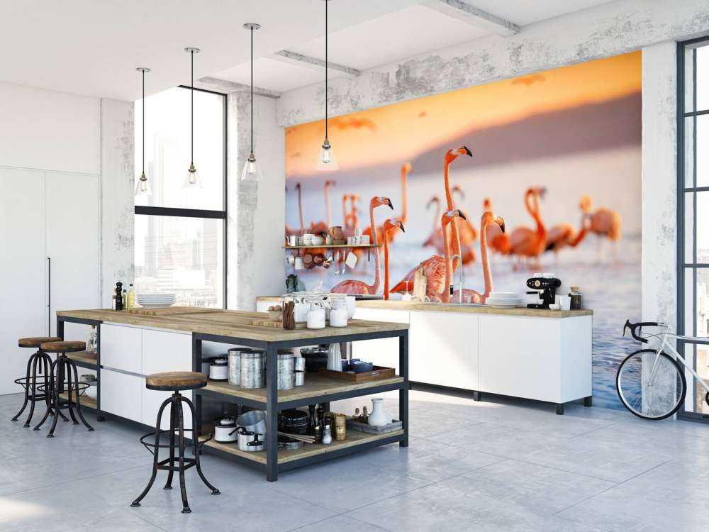 Flamants roses avec un regard fixe