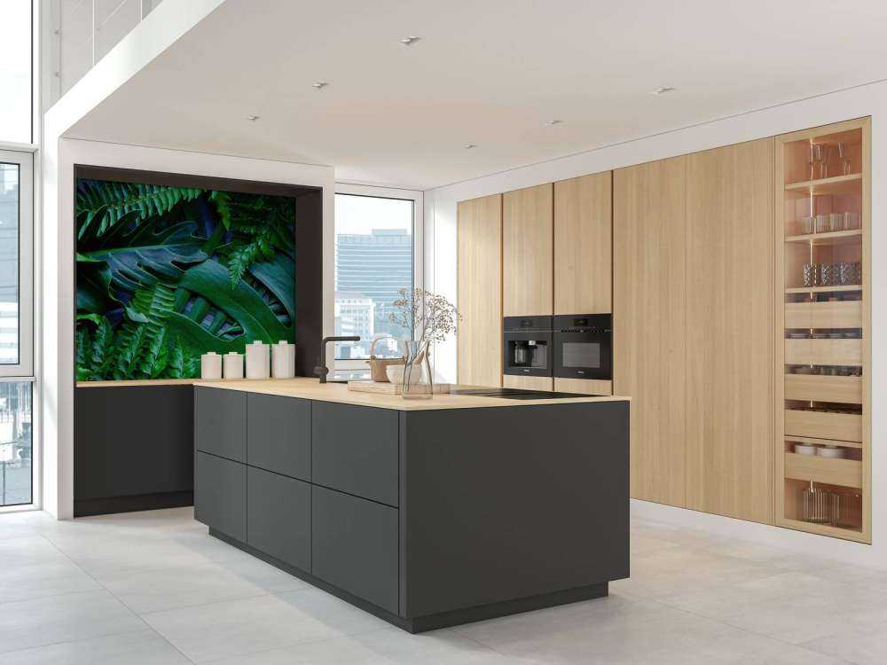 Feuilles de jungle vertes