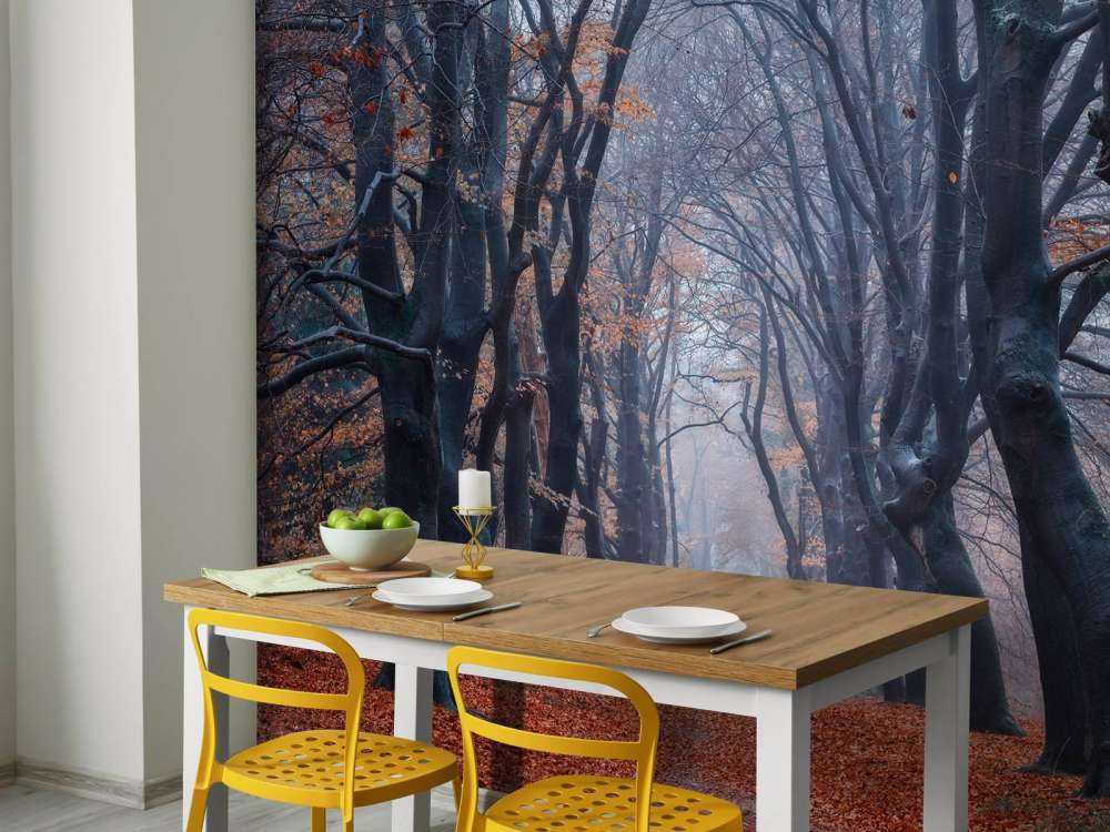 Chemin forestier avec des feuilles