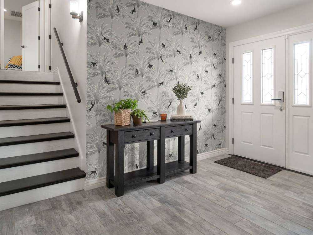 Singes tropicaux - gris