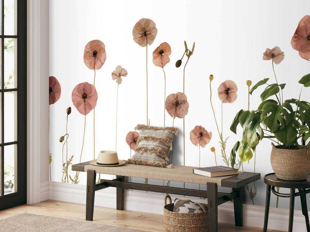 Champ de fleurs de coquelicot coloré