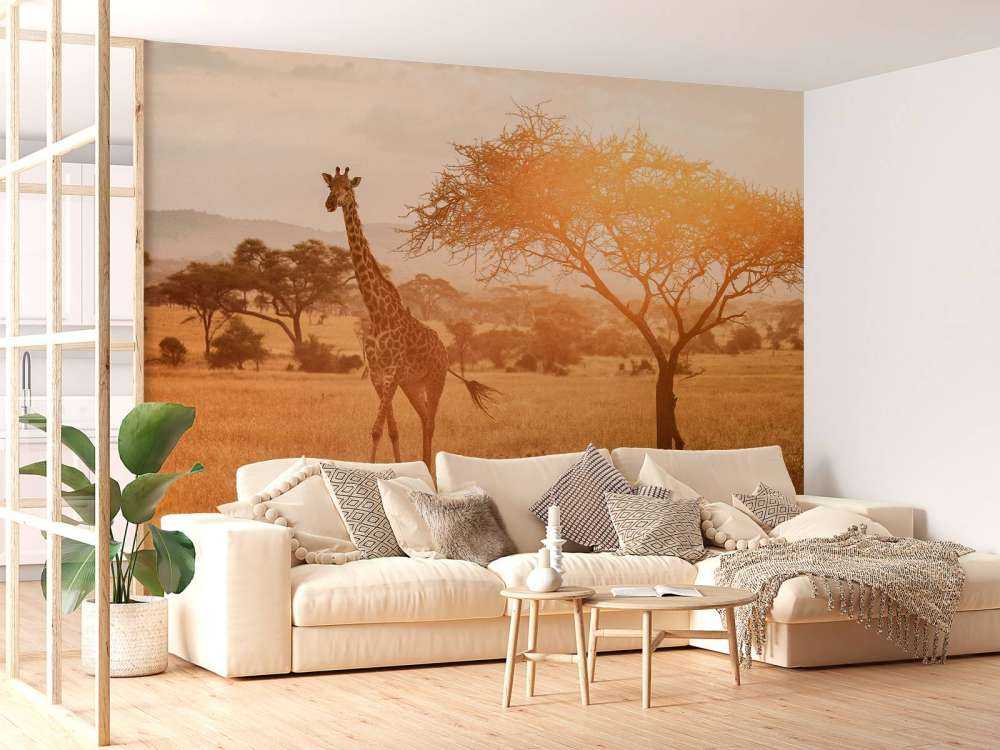 Wild giraffe