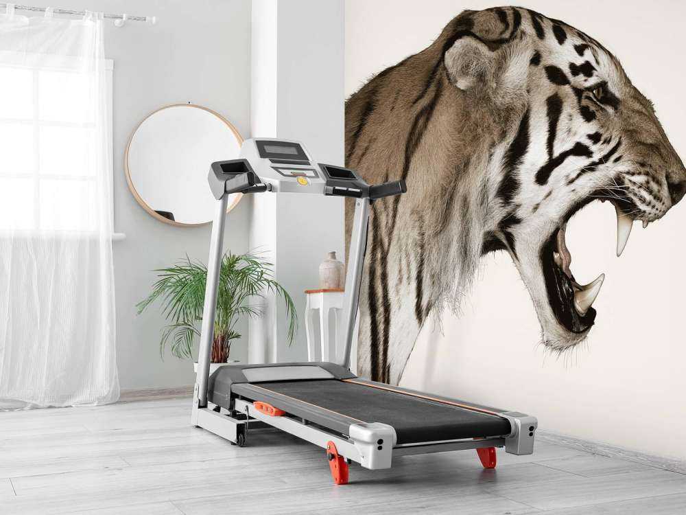 Tigre rugissant blanc