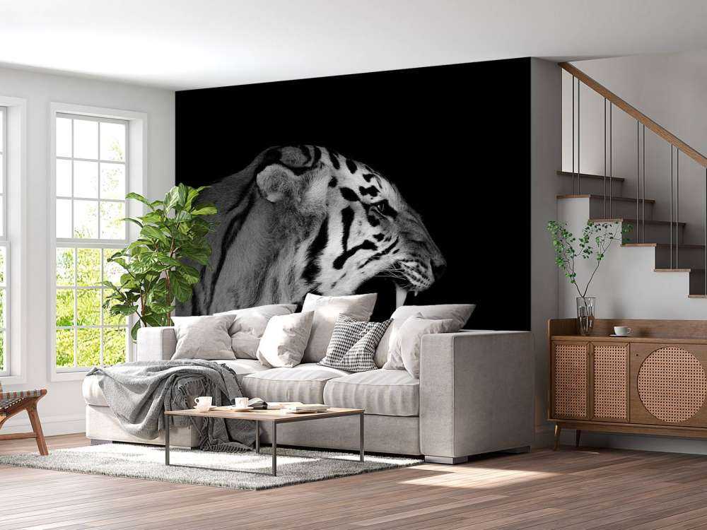 Tigre rugissant noir