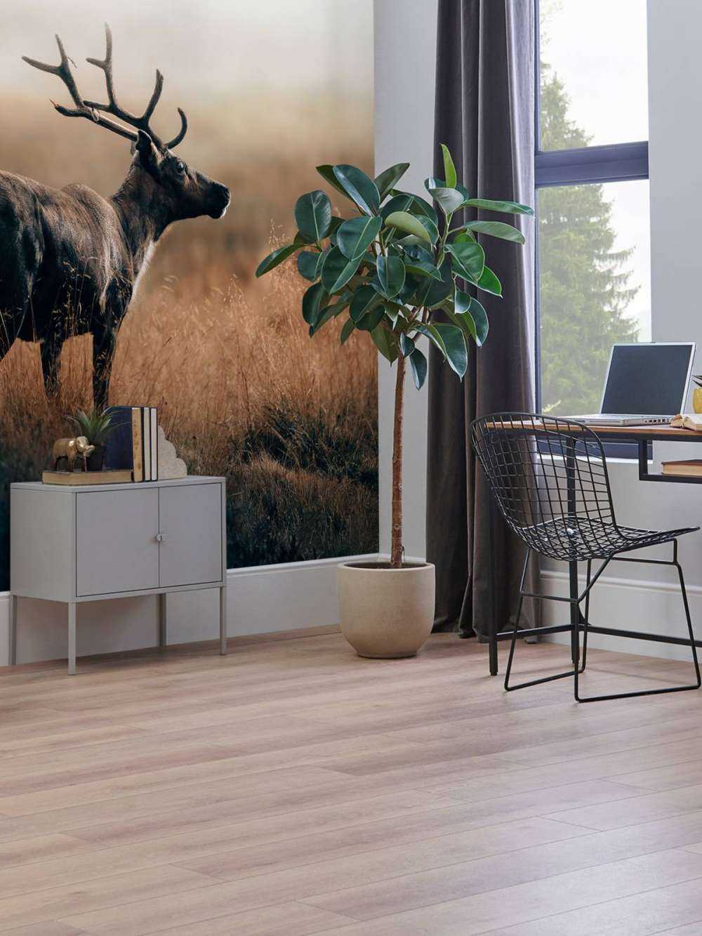 Renne dans les hautes herbes