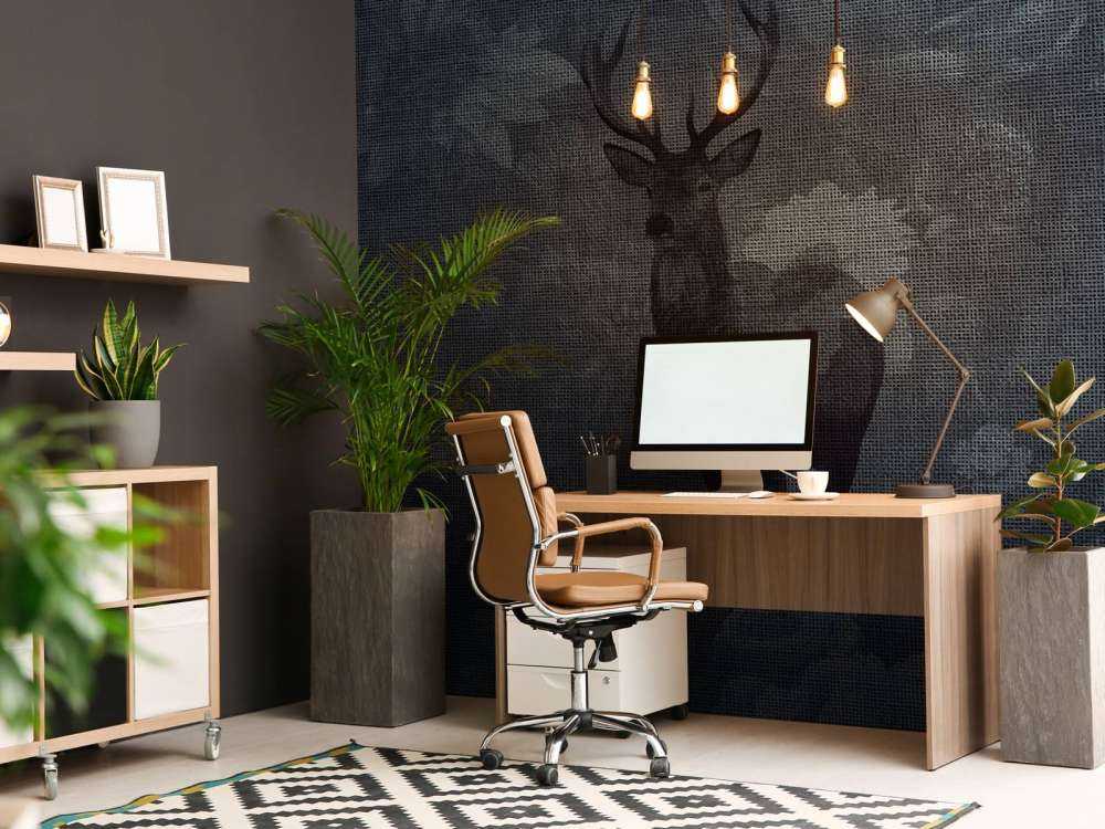 Bois de velours Veille nocturne