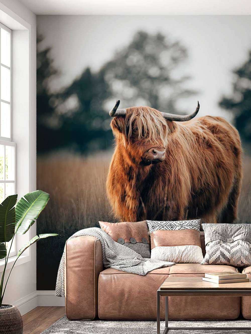 Portrait de Highlands