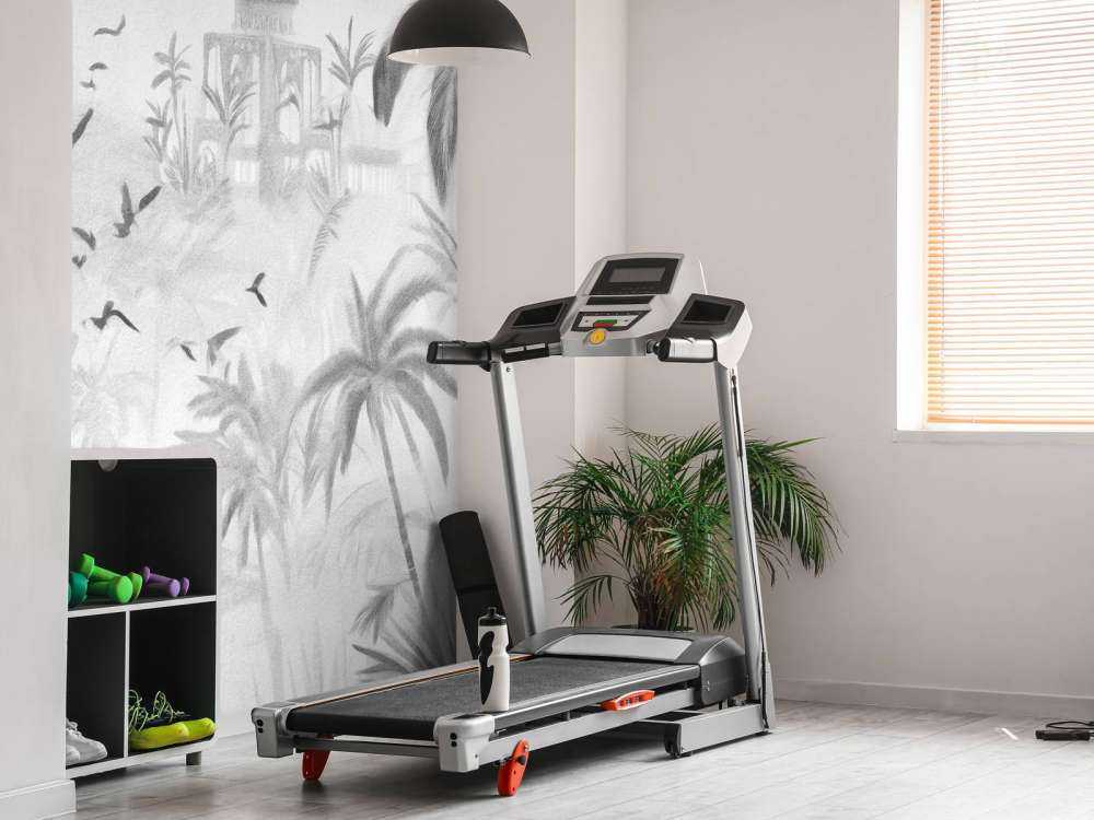 Jardin Oriental à l'Aube