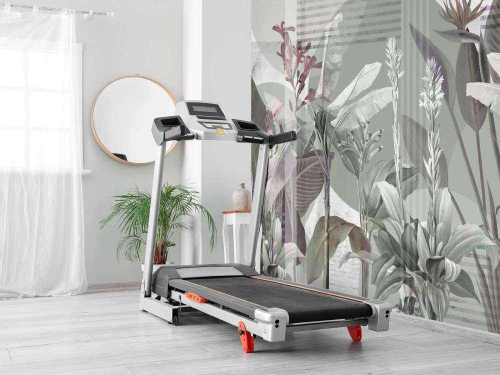 Dreams and Tropics 2