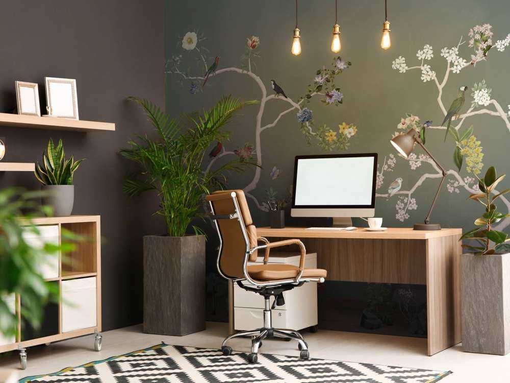 Birds in Garden Panorama 6