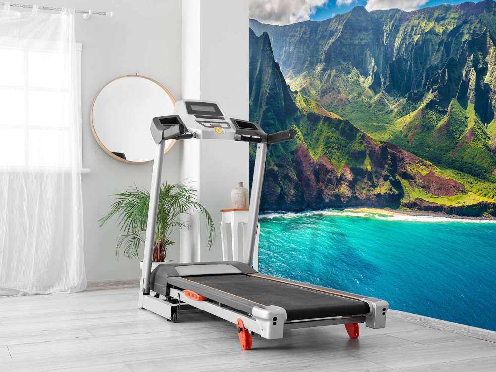 Montagnes le long de la côte