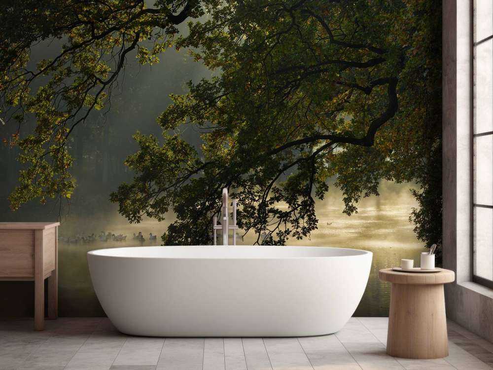 Branches en surplomb au-dessus de l'eau