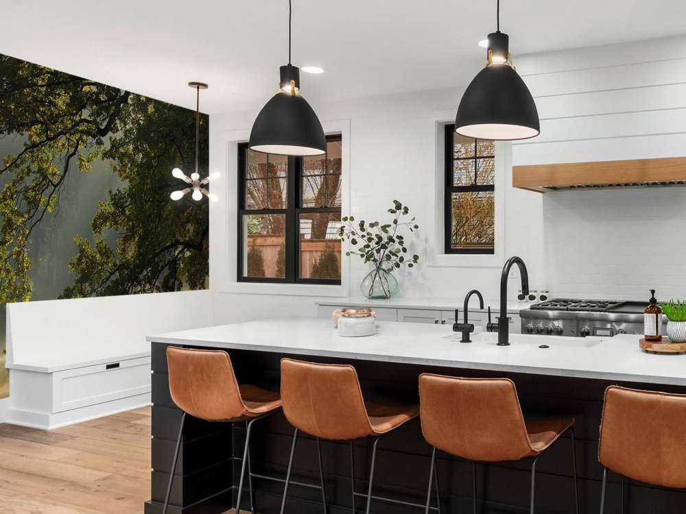 Branches en surplomb au-dessus de l'eau