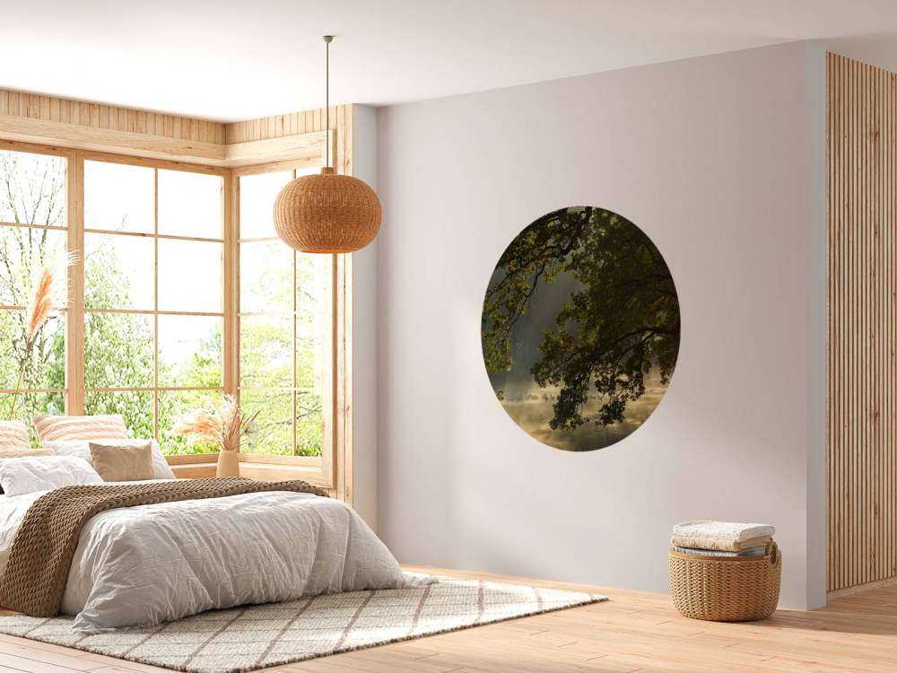 Branches en surplomb au-dessus de l'eau