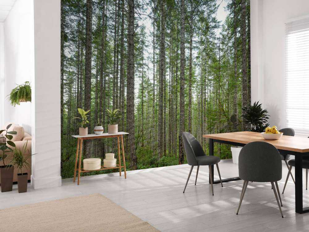 Arbres hauts et droits