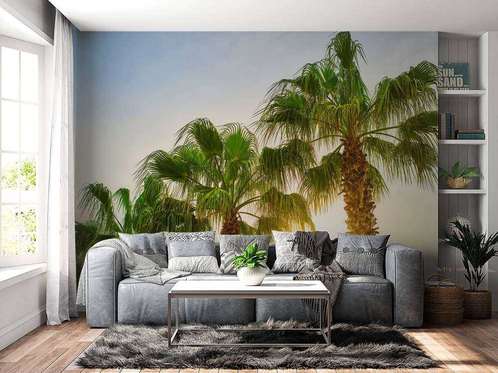 Des palmiers au soleil