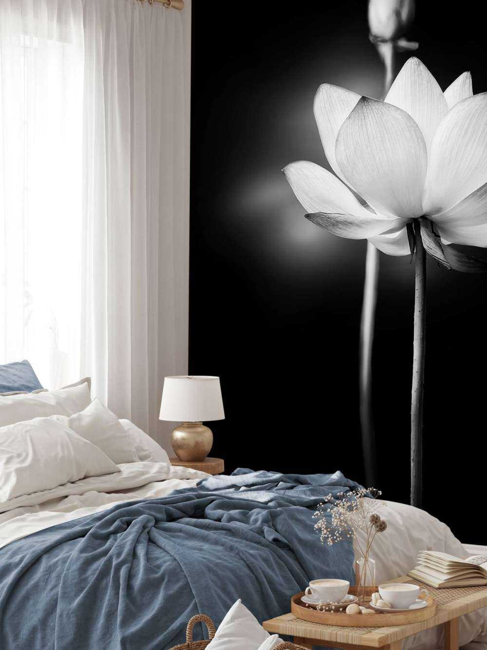 Fleurs de lotus en noir et blanc