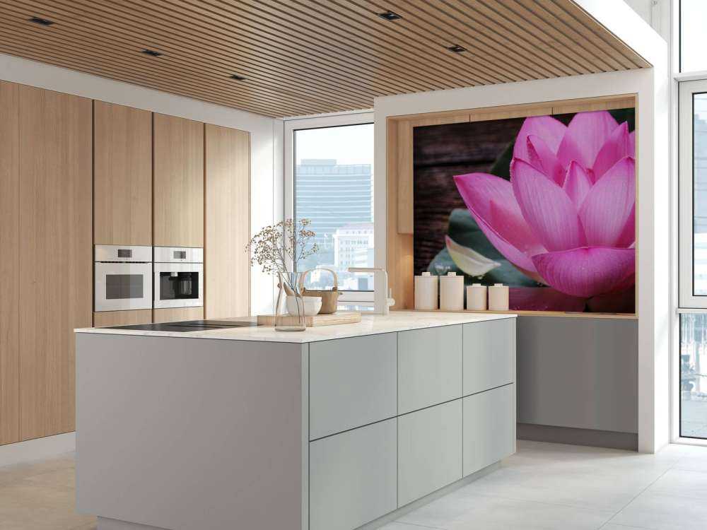 Gros plan sur le lotus rose