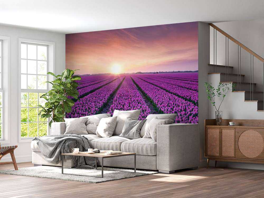 Champ de tulipes au lever du soleil