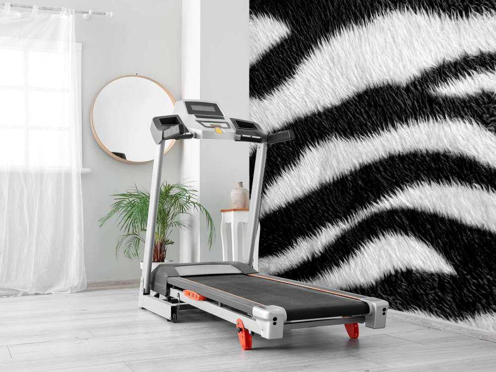 Gros plan sur le manteau zébré