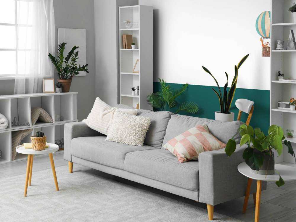 Ballons avec des animaux