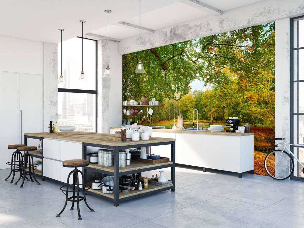 Un pont dans la forêt