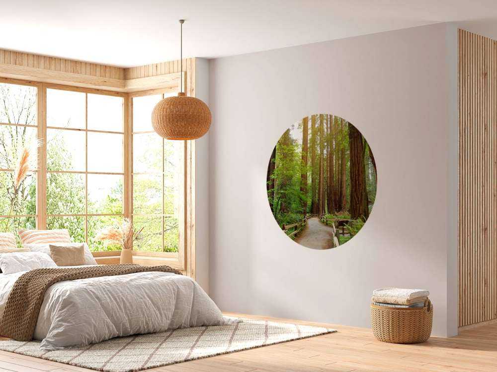 De grands arbres dans un parc