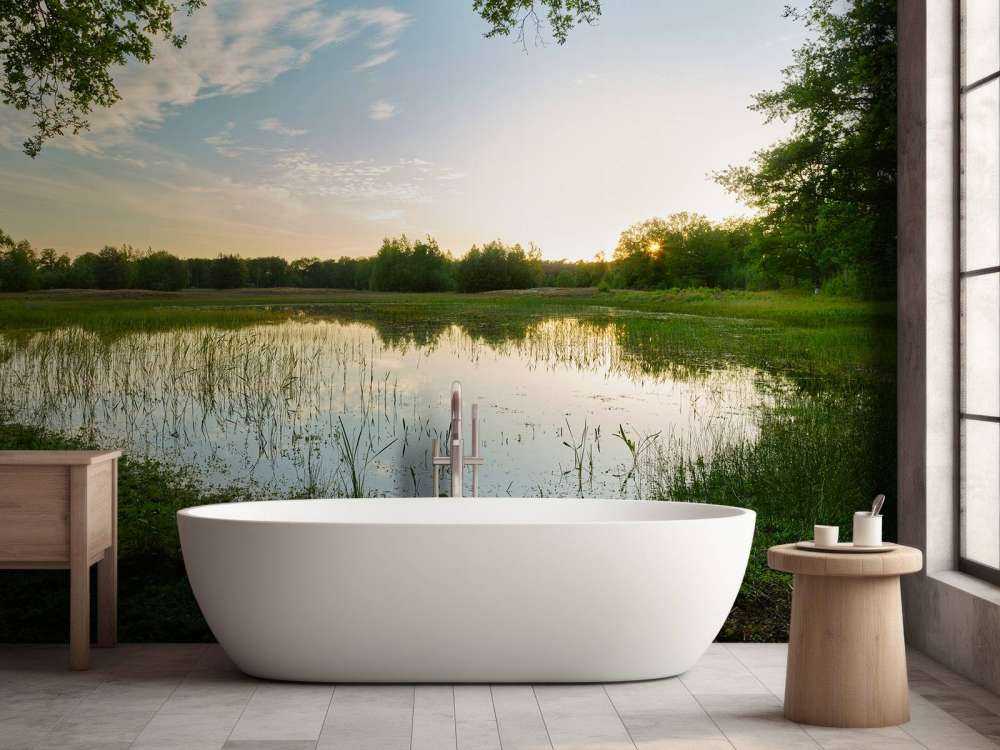 Coucher de soleil à forêt