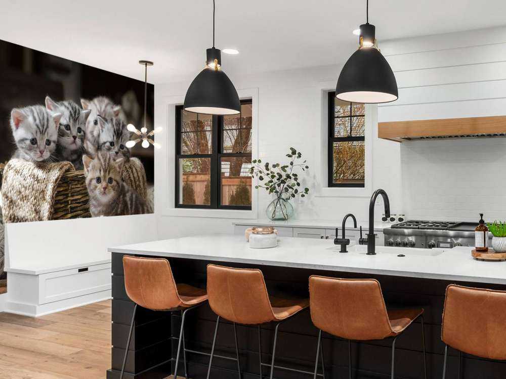 Chatons avec de la laine