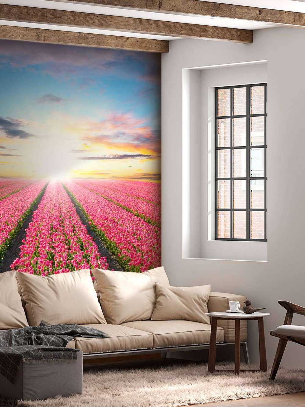 Tulipes avec le soleil levant