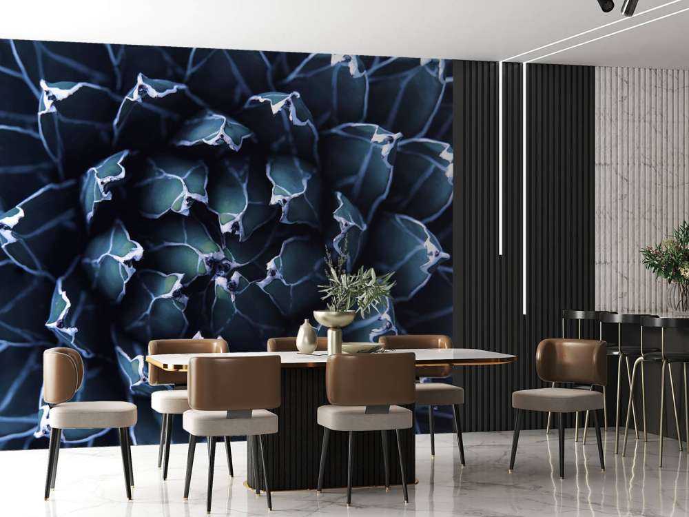 Succulent bleu foncé