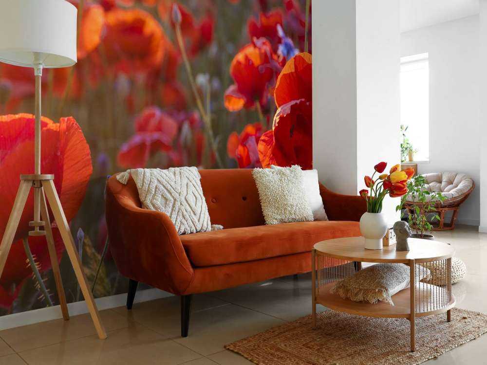 Coquelicots et bleuets