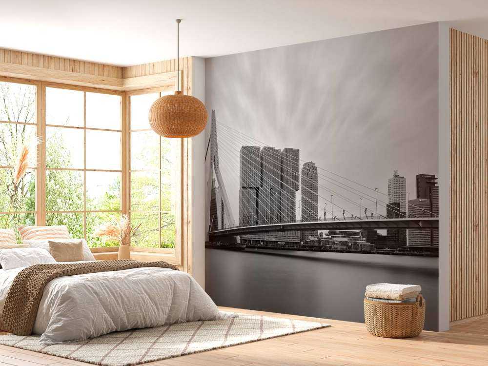 Pont Erasmus noir et blanc