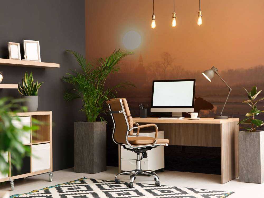 Cheval dans la lueur du matin