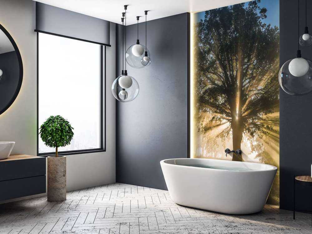 Rayons de soleil à travers le Vieux Chêne