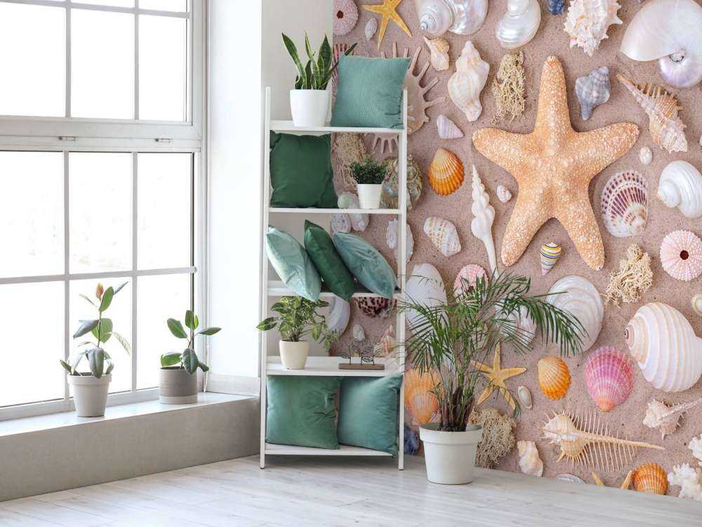 Plein cadre de collection de coquillages.