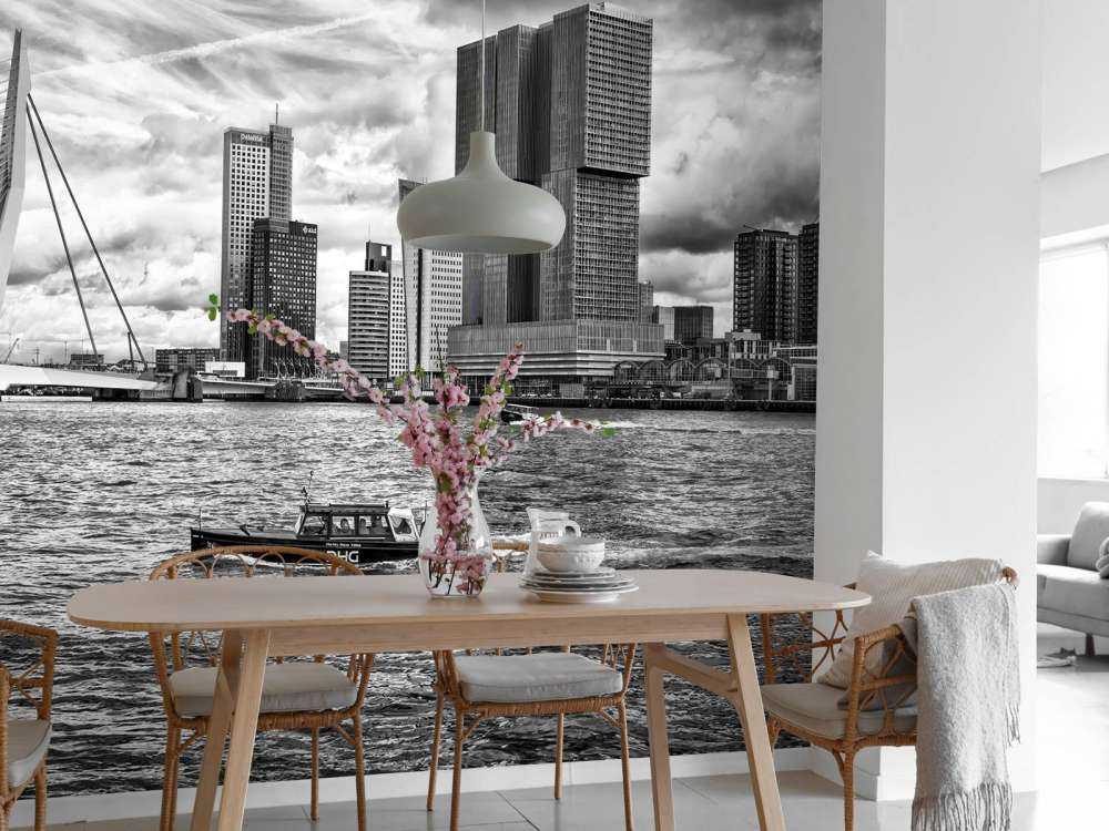 Erasmusbrug et Skyline en Monochrome