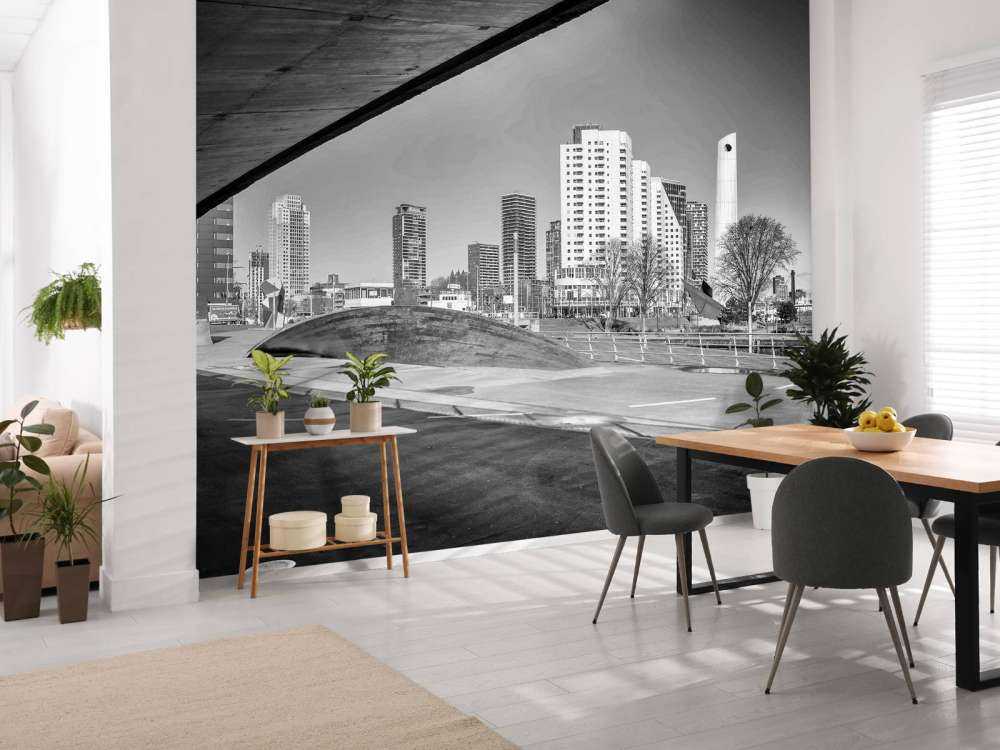 Skyline de Rotterdam sous le pont