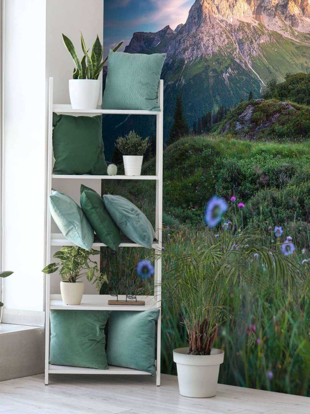 Lumière du soir sur la vallée des fleurs