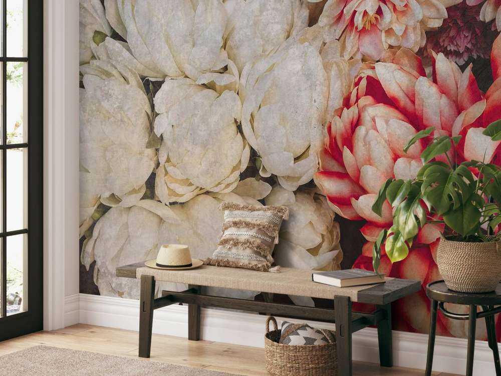 Chrysanthèmes en crème et carmin