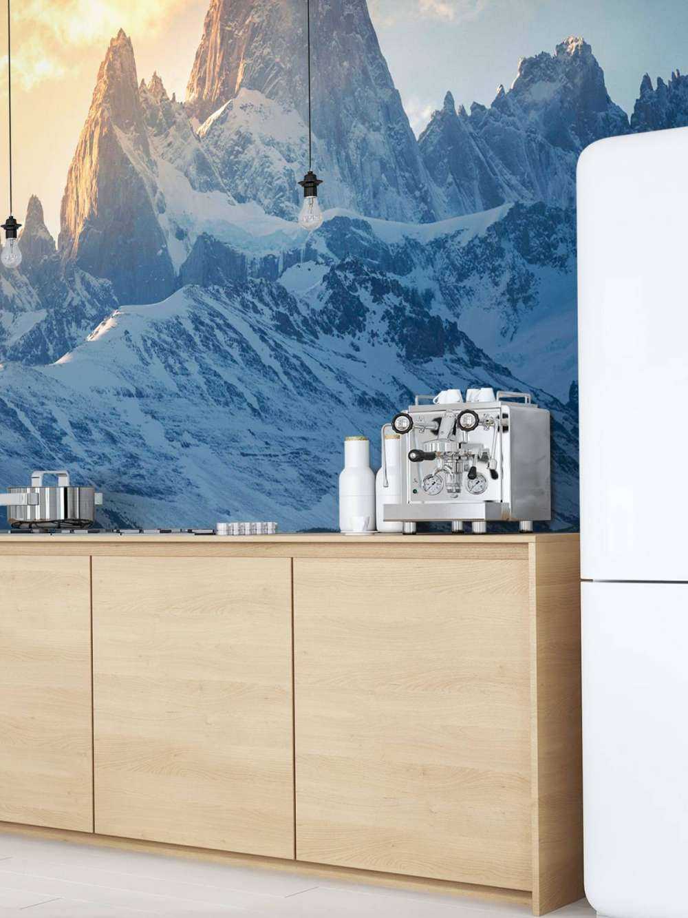 Guanaco devant les sommets enneigés de la Patagonie.