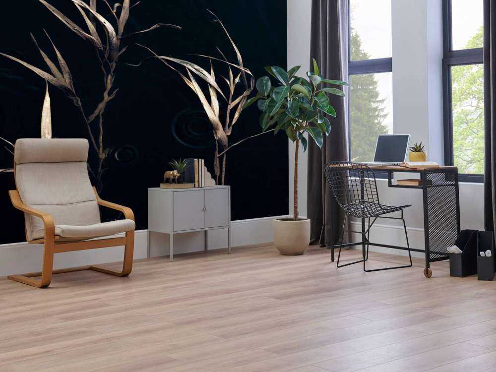 Riet dans l'eau calme